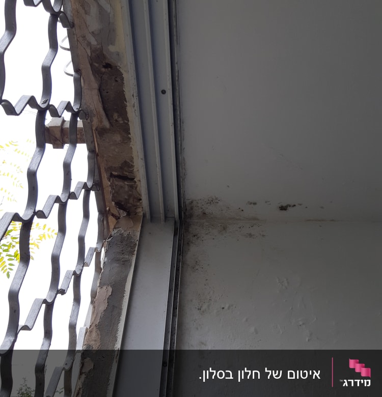 קיר עם סדקים ותקרה עם סימני רטיבות